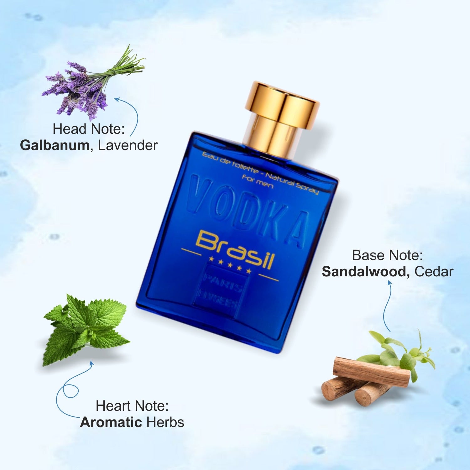Vodka Brazil Blue Perfume For Men