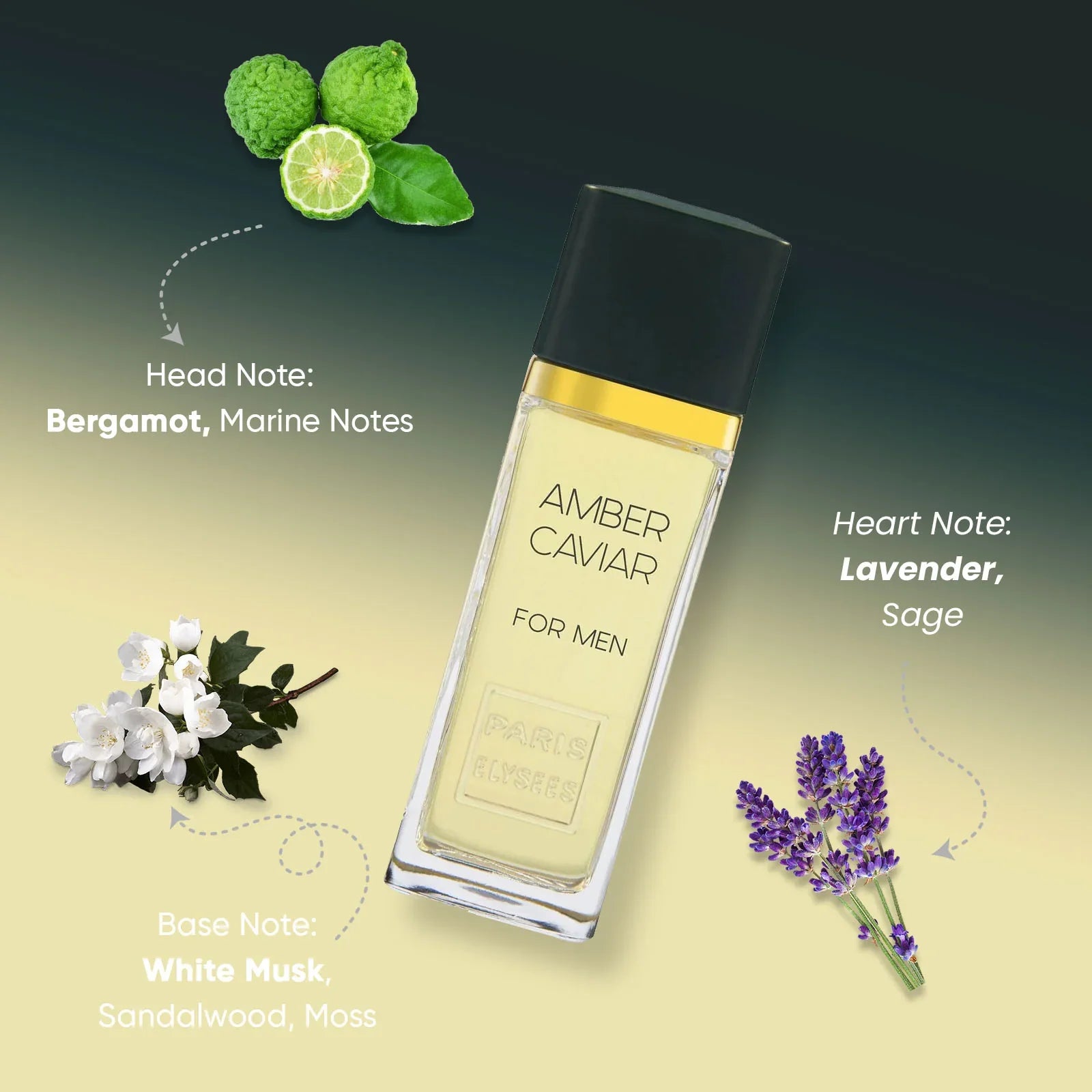 Caviar Amber Perfume For Men - Paris Elysees