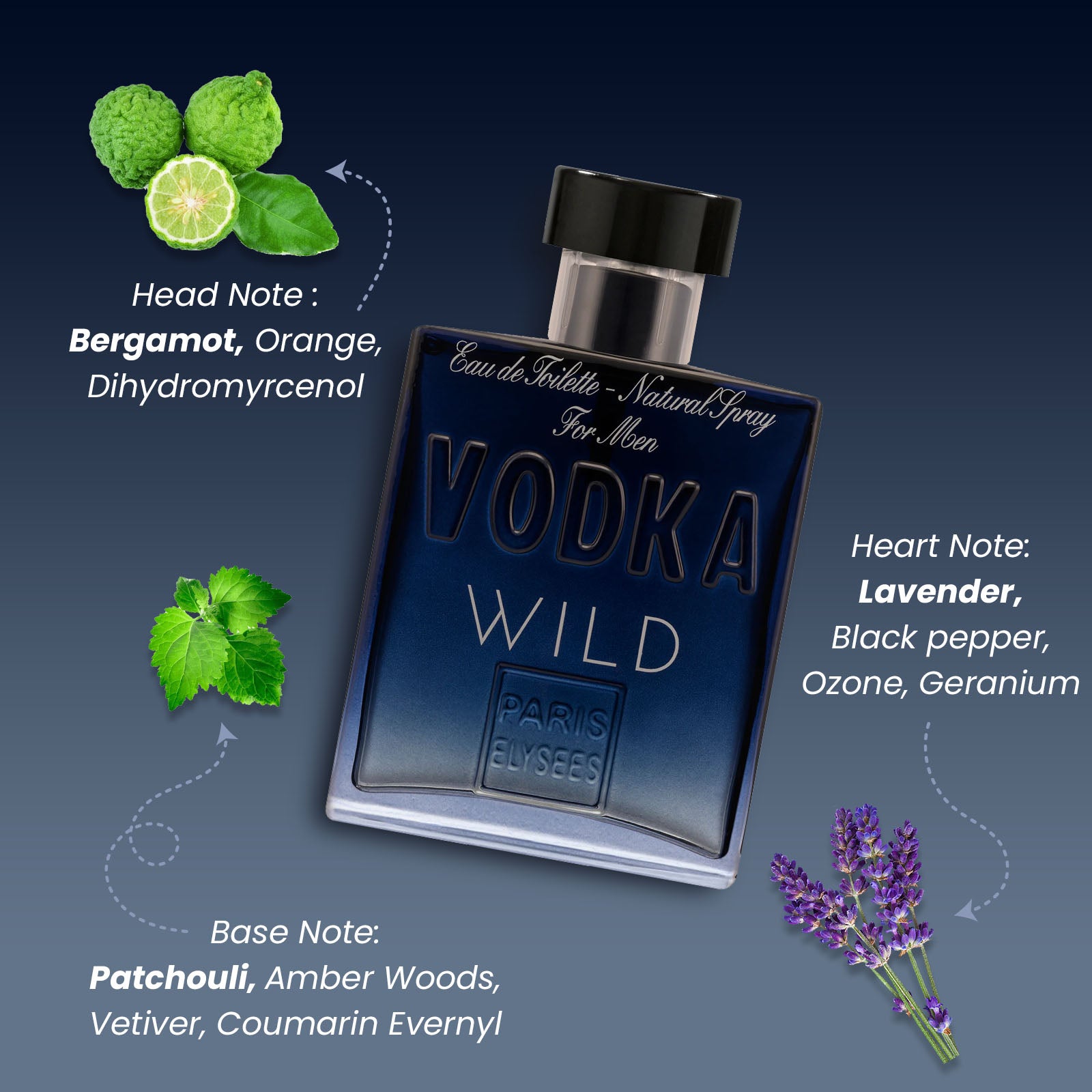 Vodka Wild Perfume For Men 100 ml